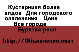 Кустарники более 100 видов. Для городского озеленения › Цена ­ 70 - Все города  »    . Бурятия респ.